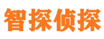 阳明市侦探公司